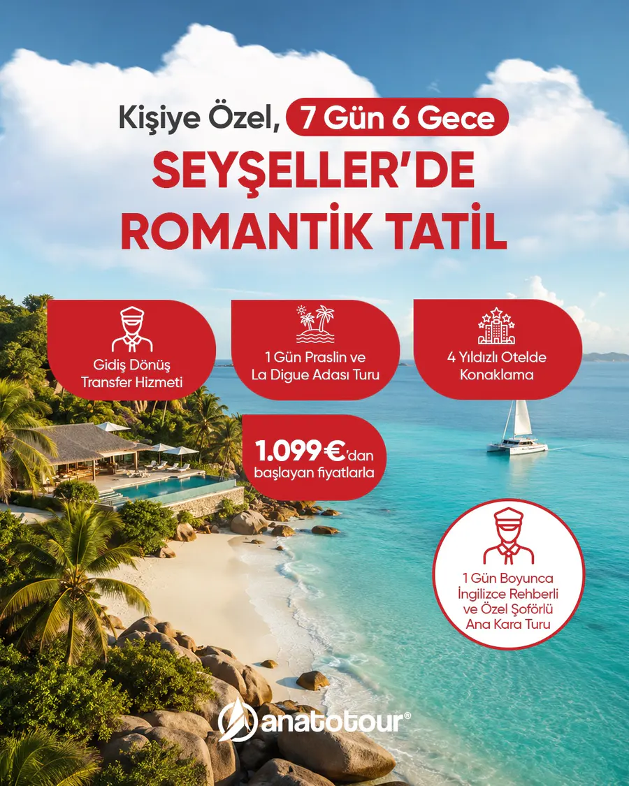 Anato Tour çalışması 6