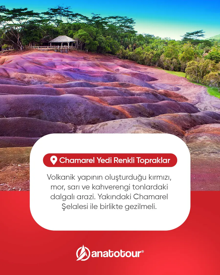 Anato Tour çalışması 12